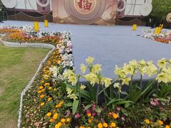 -武汉园博园(武汉自然博物馆)