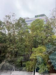 -上海首尔丽格医疗美容医院