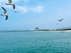 -海驴岛(荣成市)