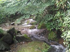 -藏龙百瀑风景区