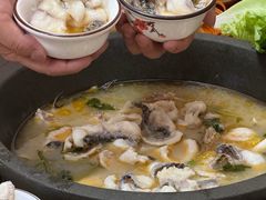 -大鼎石锅鱼(春江里店)