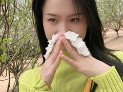 -南国桃园旅游度假区