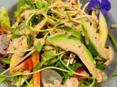 牛油果蔬菜沙拉-德川家日本料理(龙德广场店)
