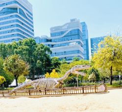 -广州市儿童公园