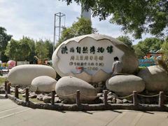 -陕西自然博物馆