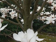 -江南大学(蠡湖校区)