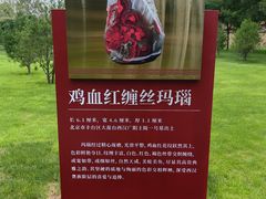 -北京大葆台遗址博物馆