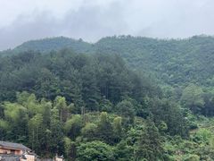 -杨家堂村