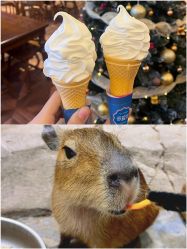 -Zoolung Zoolung动物主题公园(海信广场店)