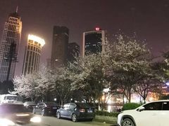 -西北湖绿化广场