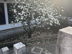 -昆明市金殿名胜区