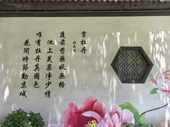-洛阳市牡丹公园