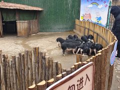 -保定市动物园