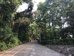 -中山公园(石岐街道)