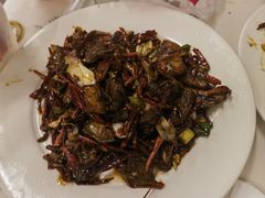 -田记餐馆(富国街店)