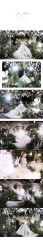 -Renee芮亦婚纱(原丽莎)