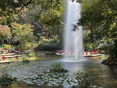 -九龙公园
