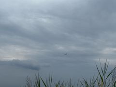 -包头南海湿地景区