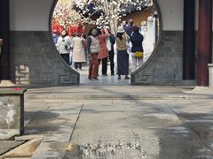 -灵谷景区