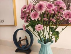 -恩舍瑜伽普拉提