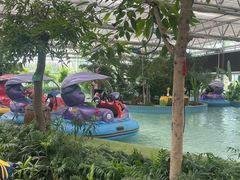 -南宫五洲植物乐园