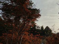 -广州市帽峰山景区