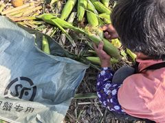 -乡乐园蟹庄·阳澄湖农家乐