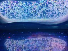 -海合安天津极地海洋公园