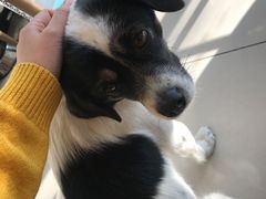 -平行世界·猫咖(首经贸店)