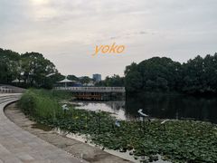 -新江湾城公园