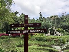 -呀诺达热带雨林