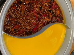 -青瓷火锅料理(西单大悦城店)