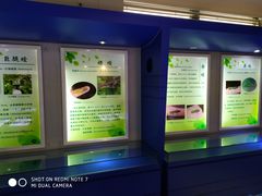 -上海昆虫博物馆