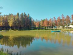 -森波拉奇妙世界