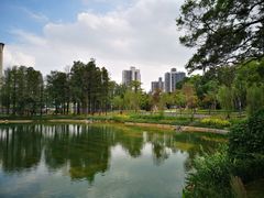 -四海公园(南山区)