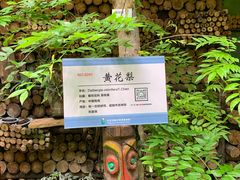 -北京呀路古热带植物园