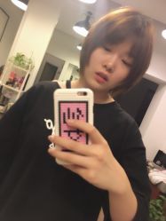 -大象造型