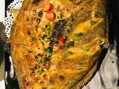 -九府羊·鲜羊火锅·烤串(新华路店)