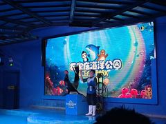 -石家庄海洋公园