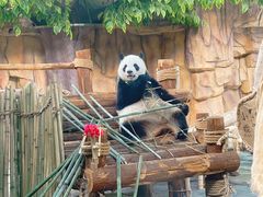 -泉州海丝野生动物世界