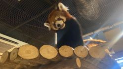 -Zoolung Zoolung动物主题公园(海信广场店)