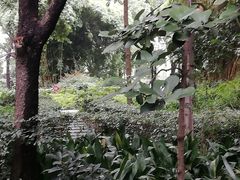 -成都市活水公园