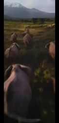 -翱翔飞越地平线
