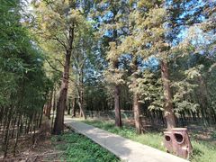 -同里国家湿地公园