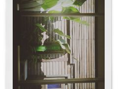-清迈女子监狱马杀鸡(无分店)