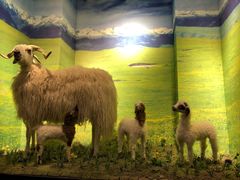 -清真·益鑫羊肉手抓馆(花园北街店)