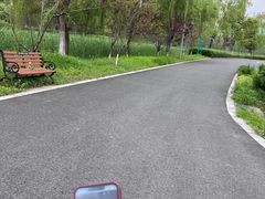 -昆山城市生态森林公园