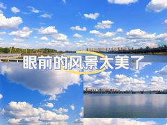 -丁香湖公园