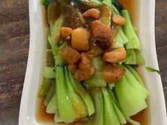 油菜-李范南记