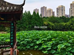 -龙头寺公园